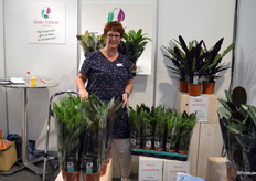 Bianca van Schie van Gebr. Valstar, met op de bühne uiteraard prachtige calathea's.